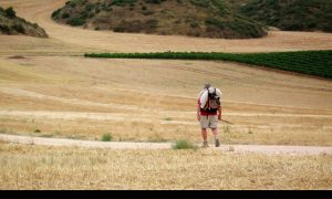 Pilgrim on the road